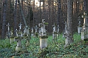 Rostoczek 11.2008 456